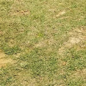 Meet your Posher, Sylvia